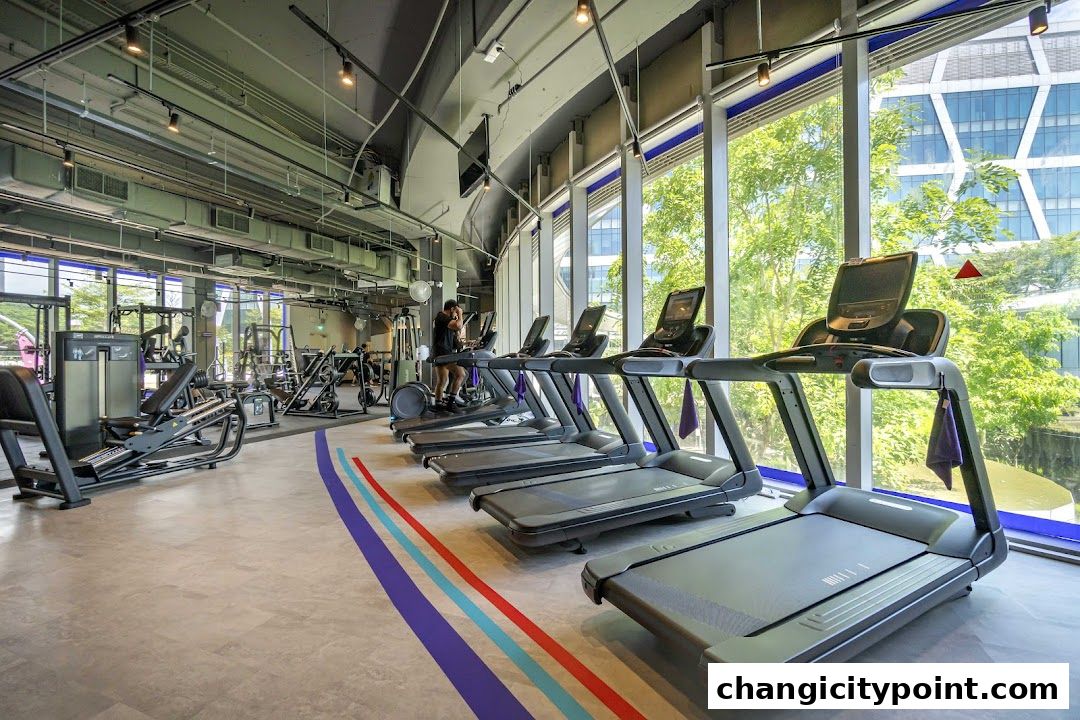 Interior of a modern gym with treadmills and weight machines, large windows with natural light.