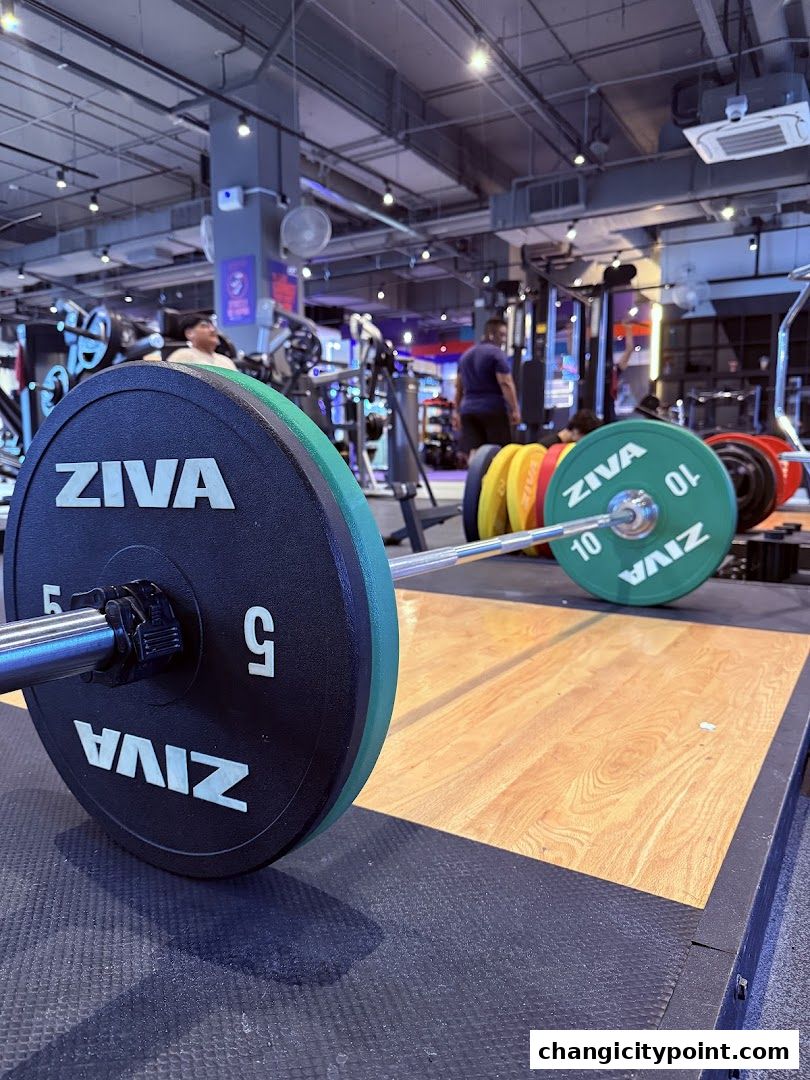 Close-up of weight plates on a barbell in a gym, with other equipment in the background.