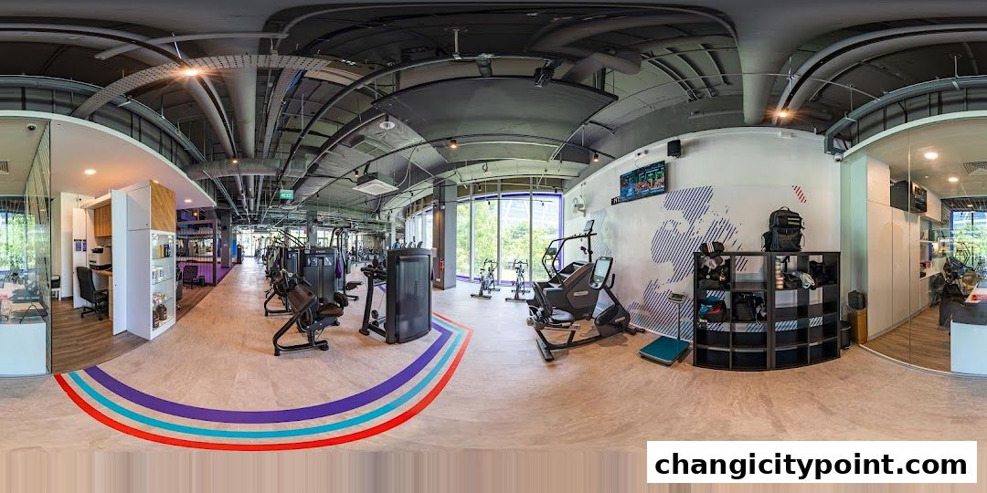 Interior view of a modern gym with various exercise machines and a reception area.