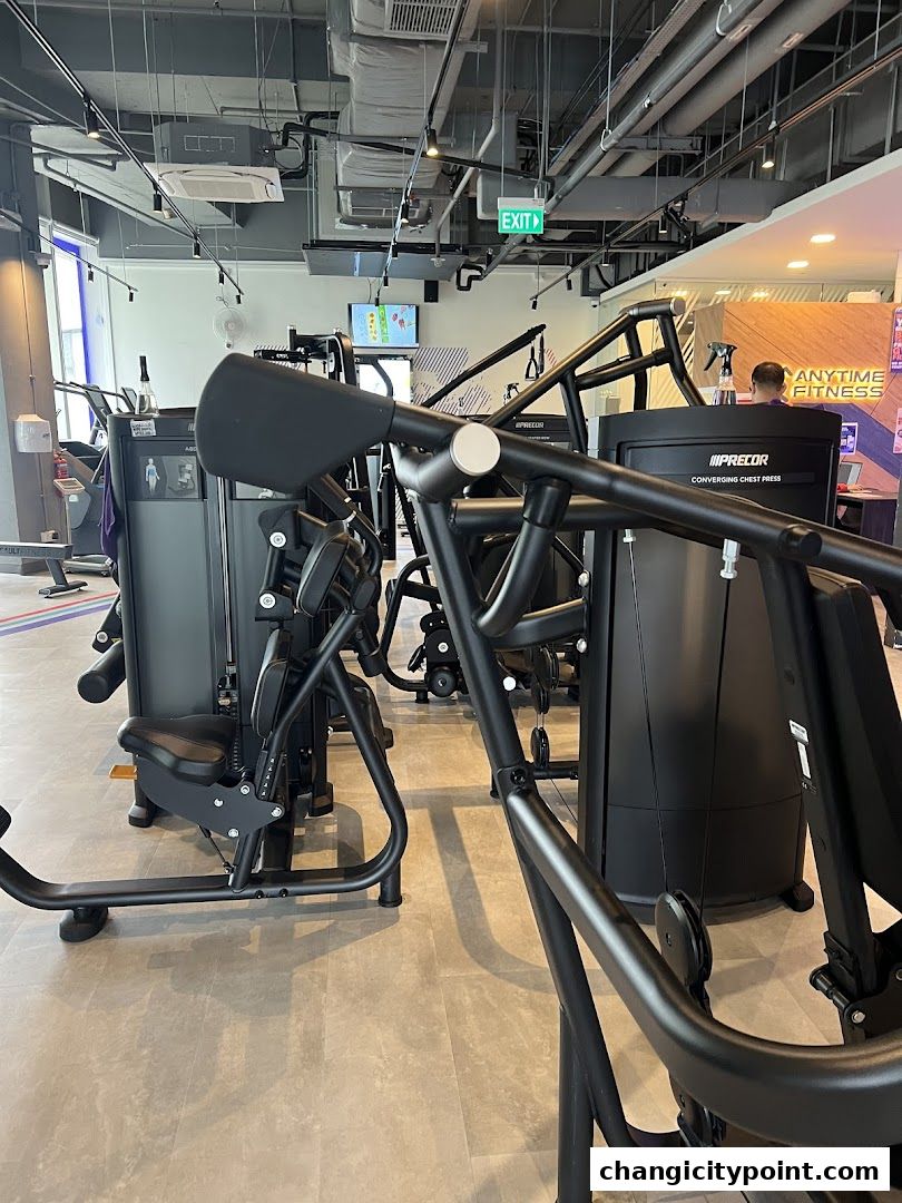 Interior view of a modern gym with various exercise machines and equipment.