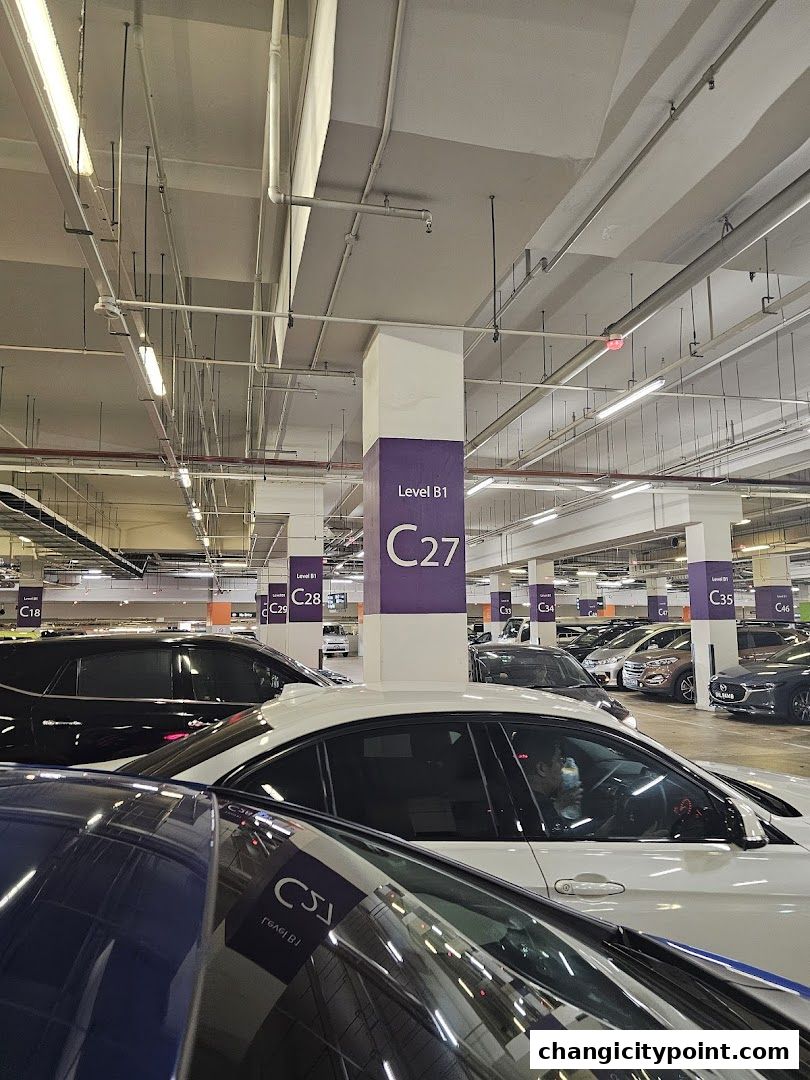 Cars parked in a multi-level indoor carpark with clear signage for parking levels and bays.