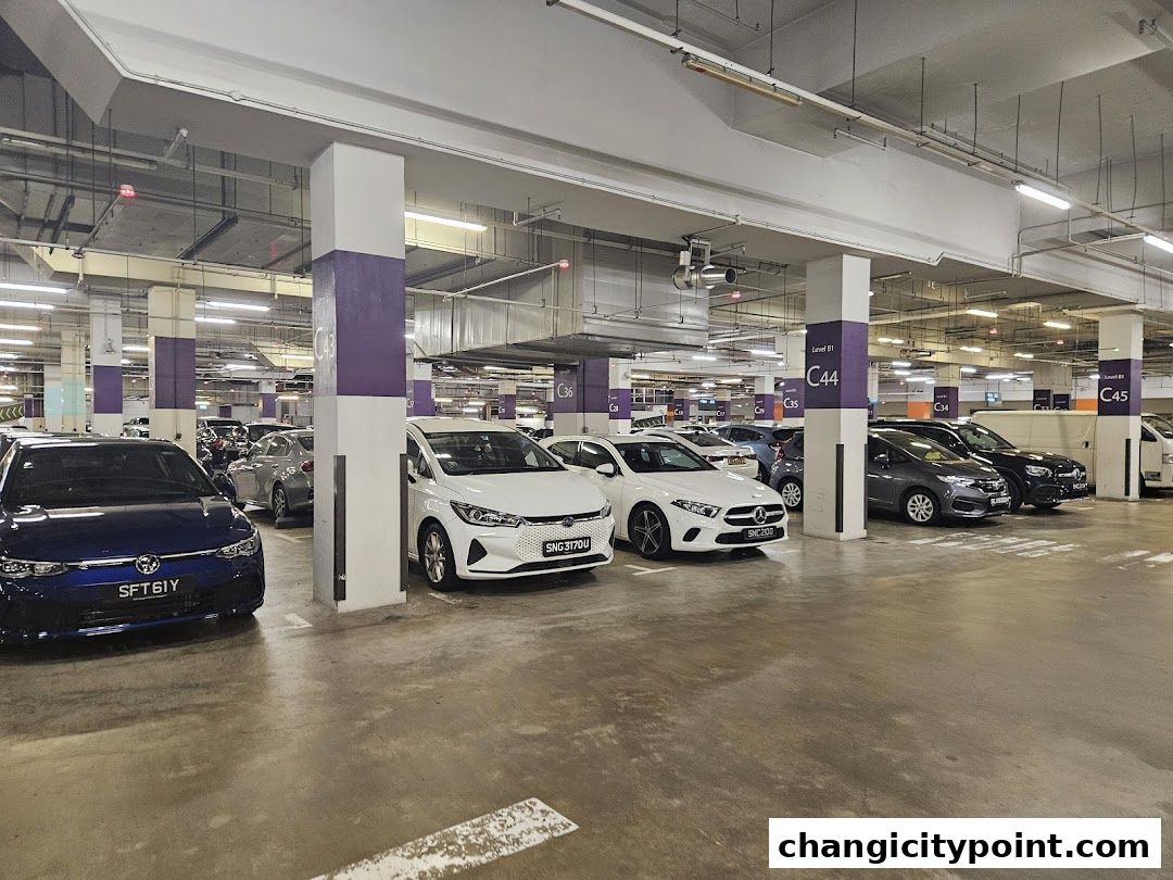 A multi-level indoor carpark with several cars parked in designated spots.