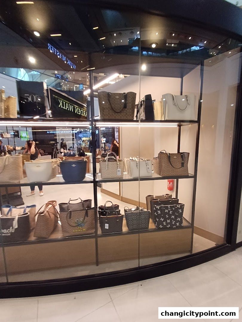 Coach Outlet store window display featuring various handbags on shelves.