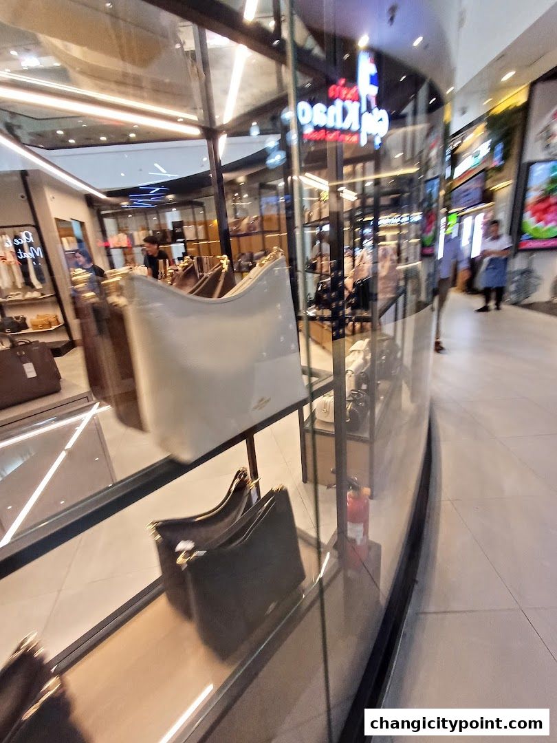 Coach Outlet store window display featuring various handbags and accessories.