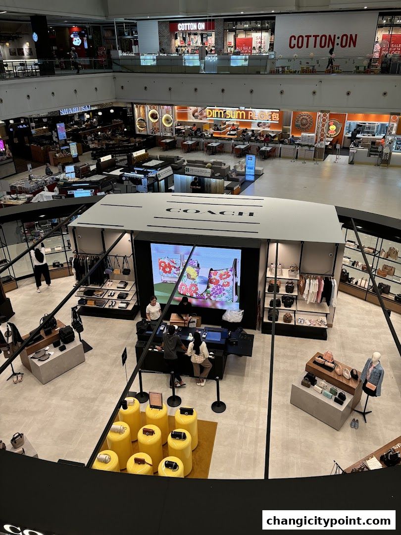 Interior view of a Coach Outlet store showcasing handbags, apparel, and accessories.