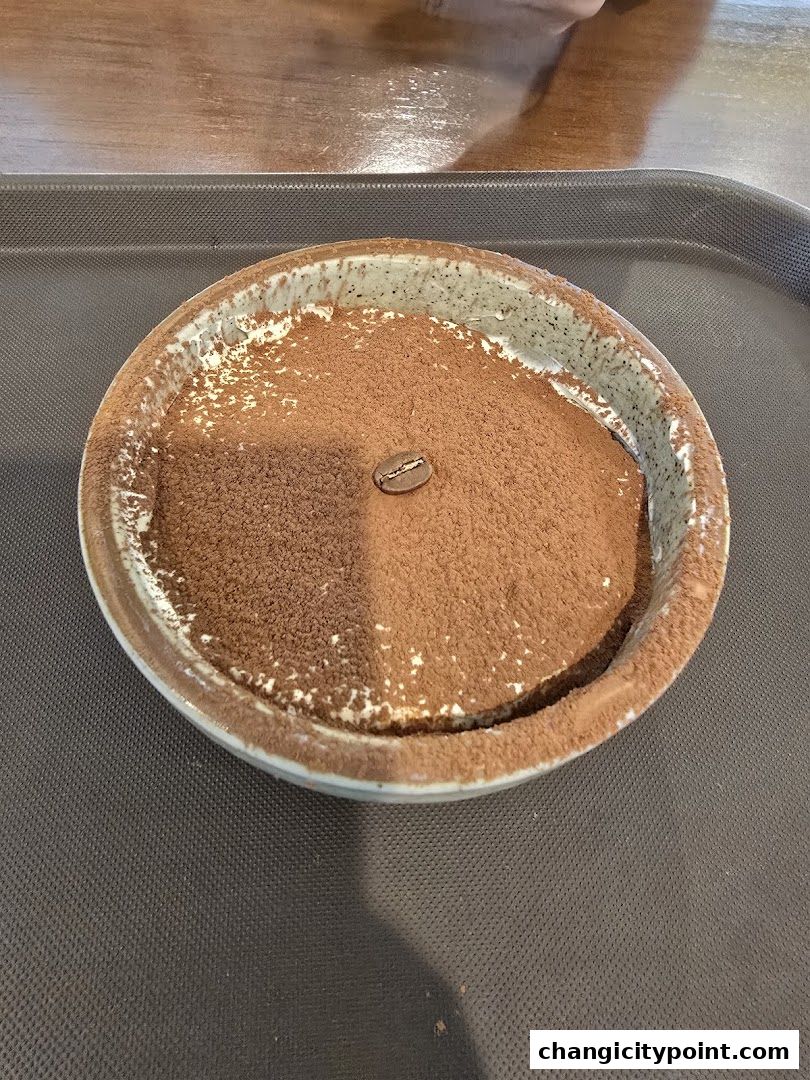 A close-up of a tiramisu dessert dusted with cocoa powder and a single coffee bean.