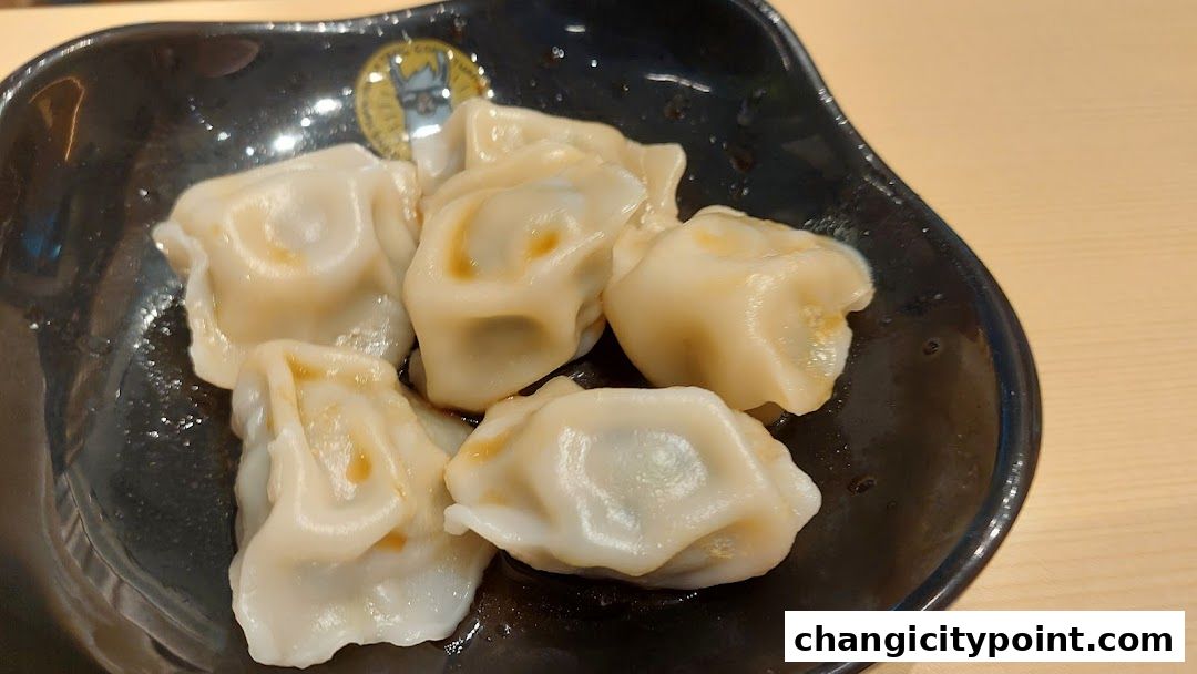 A close-up shot of delicious dumplings served in a black bowl.