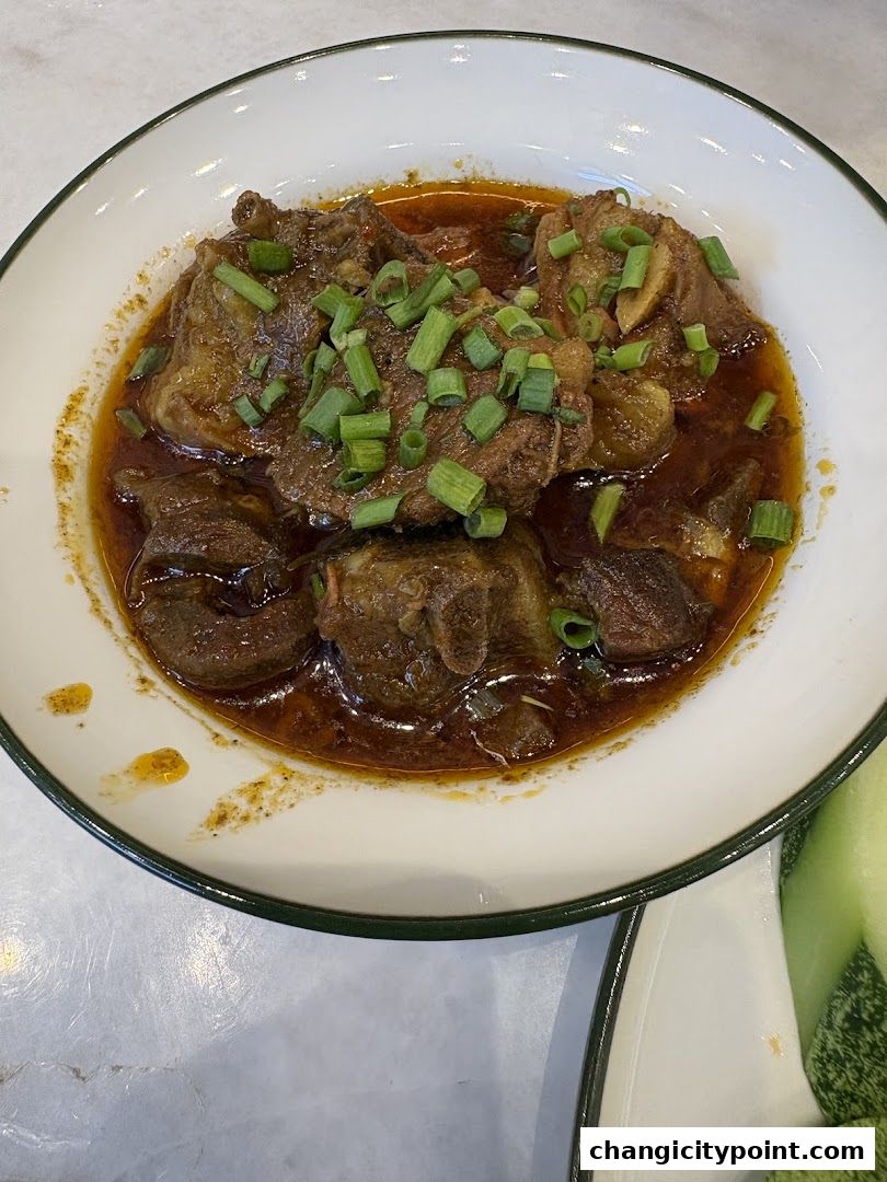 A close-up of a hearty dish of braised meat with gravy and chopped scallions.