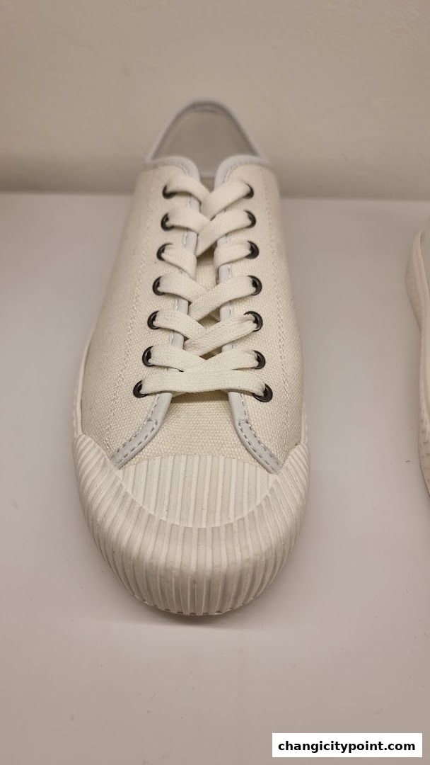 A close-up view of a white canvas sneaker with white laces and a textured rubber toe.
