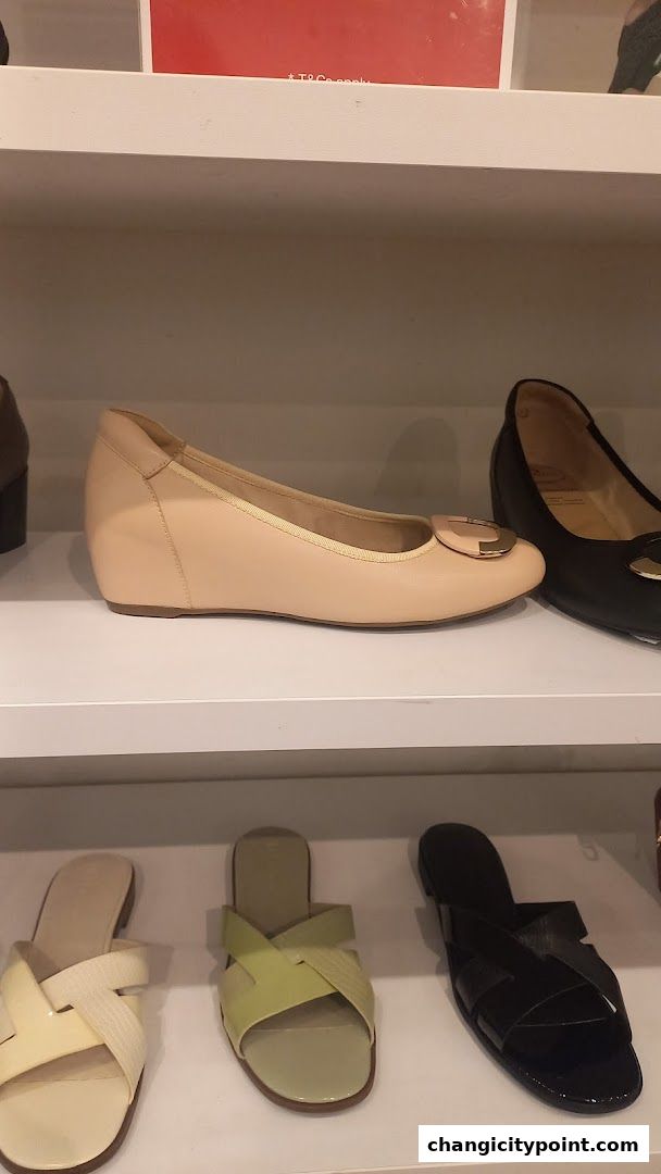 A display of stylish women's shoes, including flats and sandals, on white shelves.