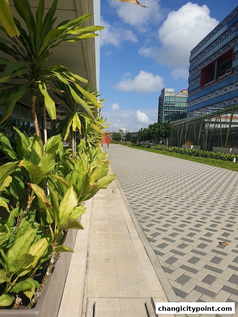 A paved walkway lined with lush green plants and modern buildings under a blue sky.