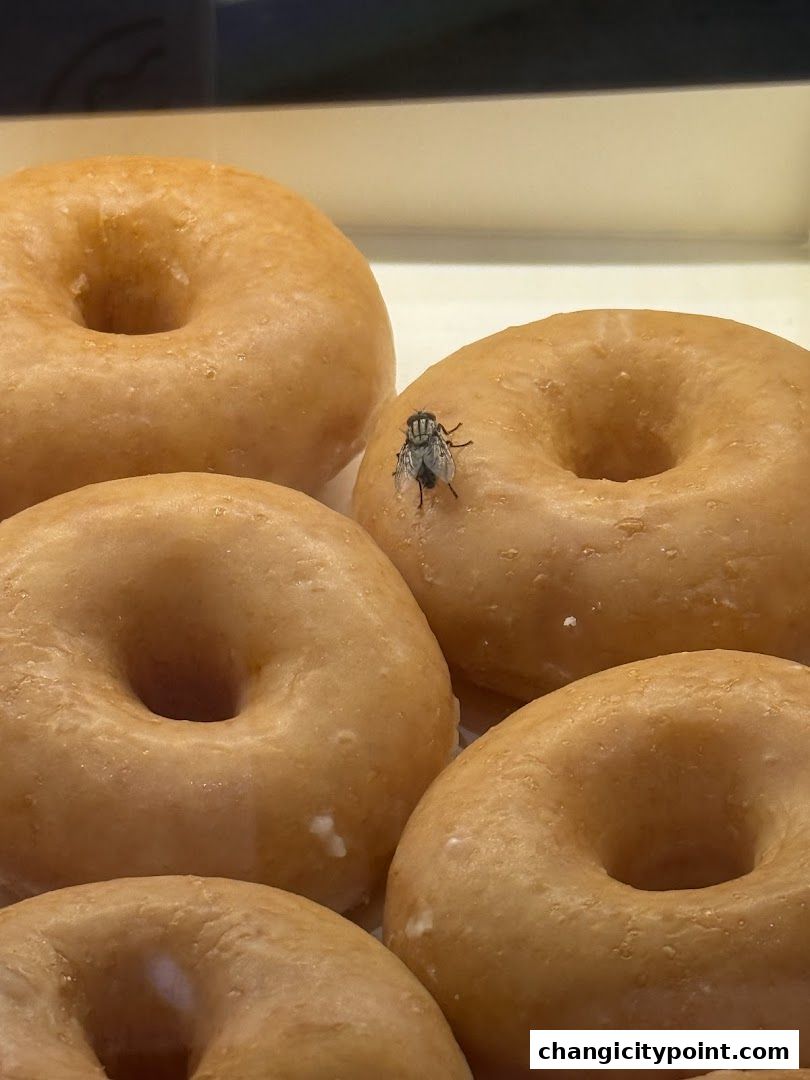 A fly rests on a glazed donut in a display case.
