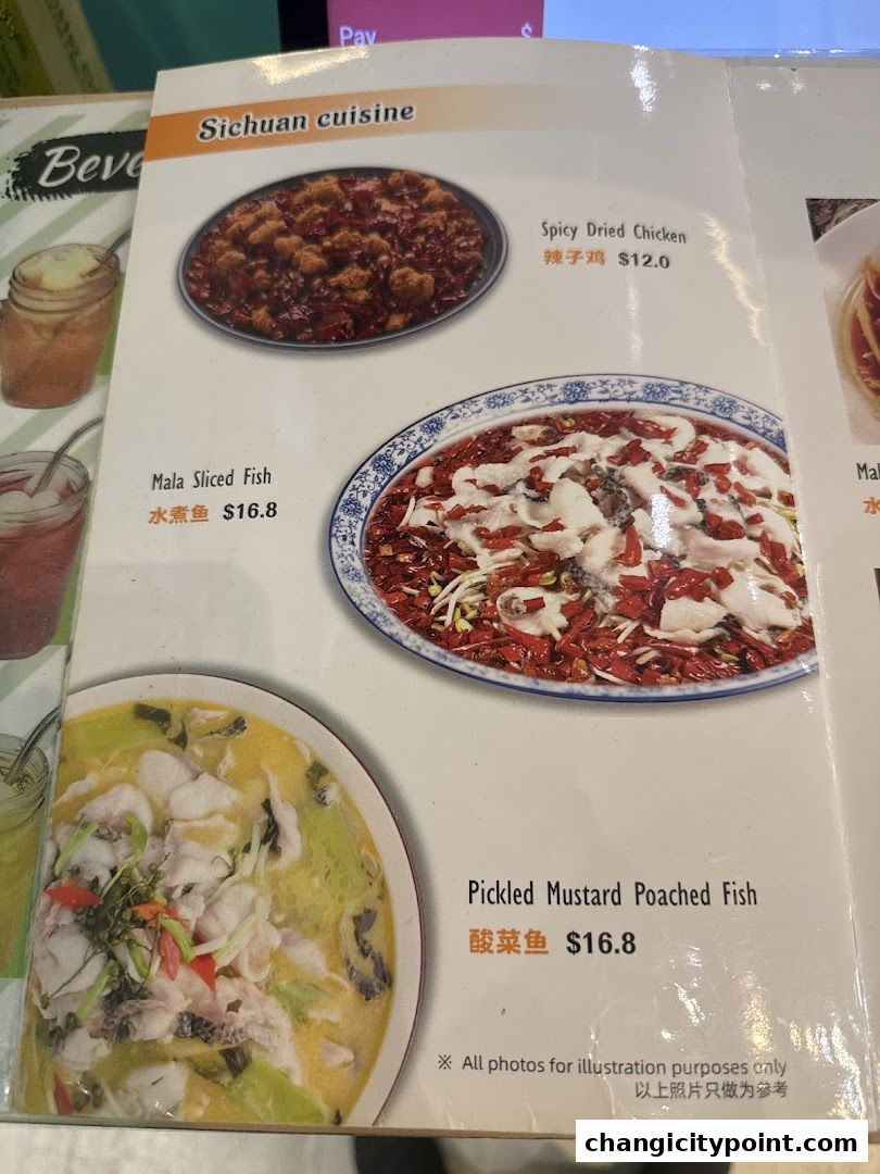 A menu page showcasing Sichuan cuisine dishes like Mala Sliced Fish and Spicy Dried Chicken.