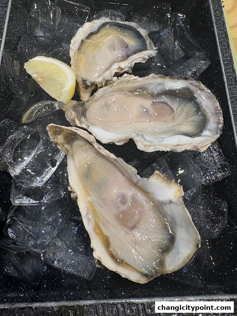 Fresh oysters on ice with a lemon wedge, ready to be served.