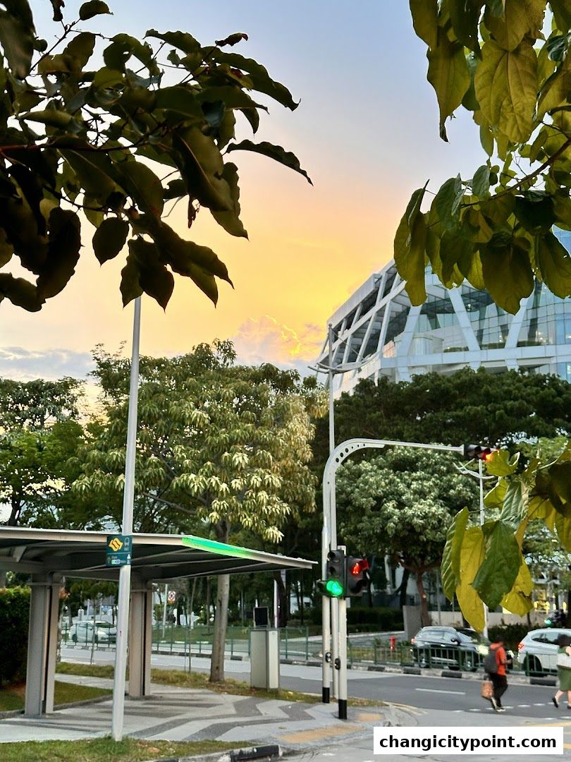 A bus stop and modern building under a colorful sunset sky.