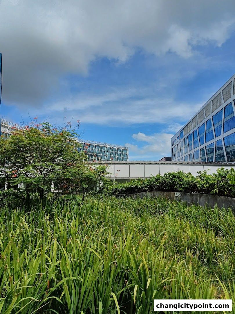 Lush green grass and trees in front of modern buildings under a cloudy sky.