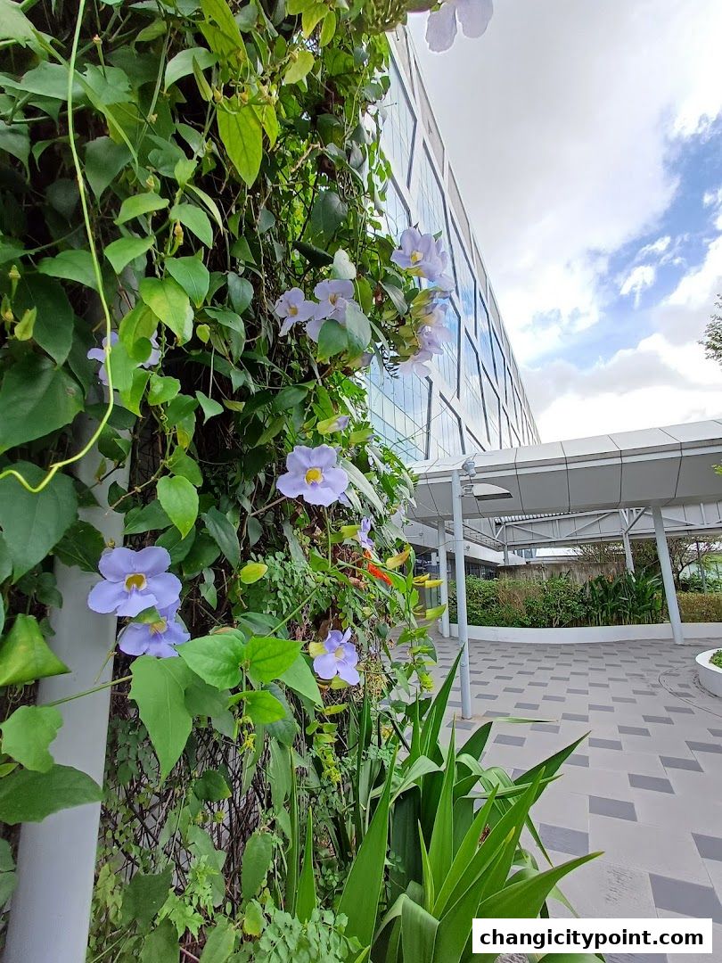 A lush green wall with purple flowers next to a modern building.