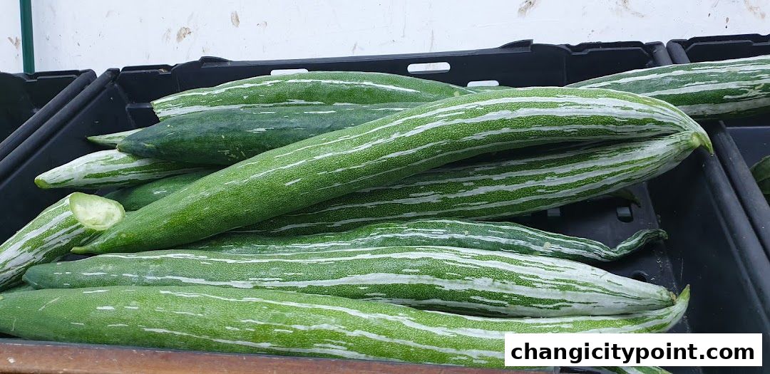 A close-up shot of fresh snake gourds with distinctive green and white stripes.