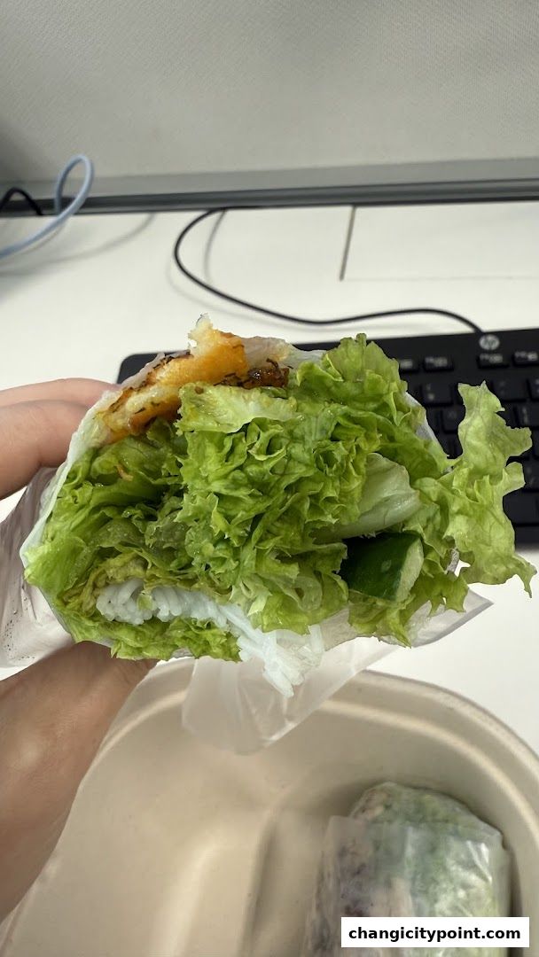 A hand holds a fresh Vietnamese spring roll filled with lettuce, rice, and protein.