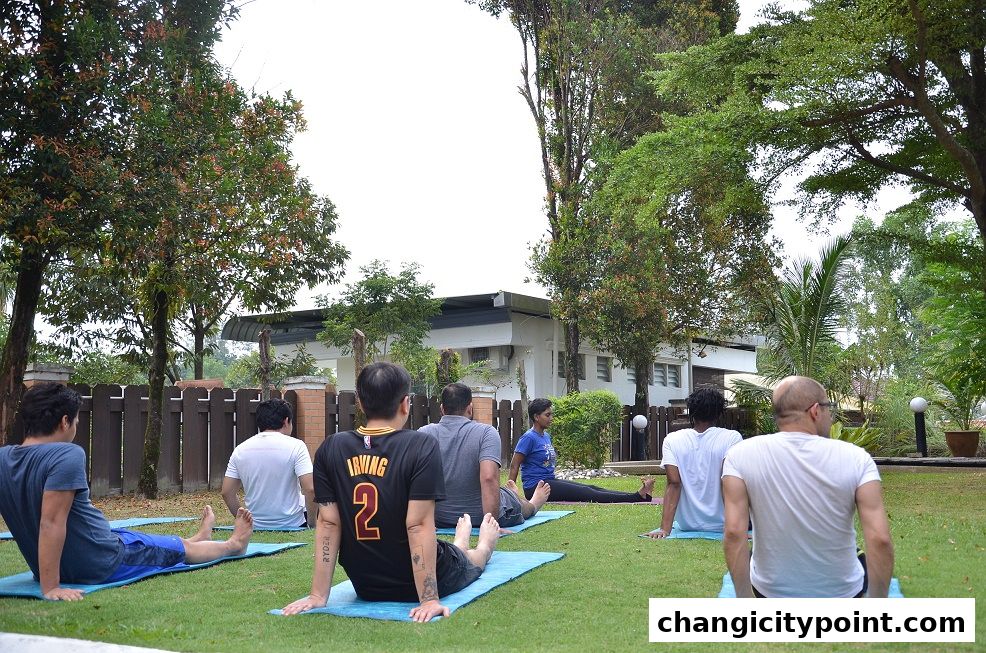 People practicing yoga outdoors on mats in a grassy area with trees and a building.