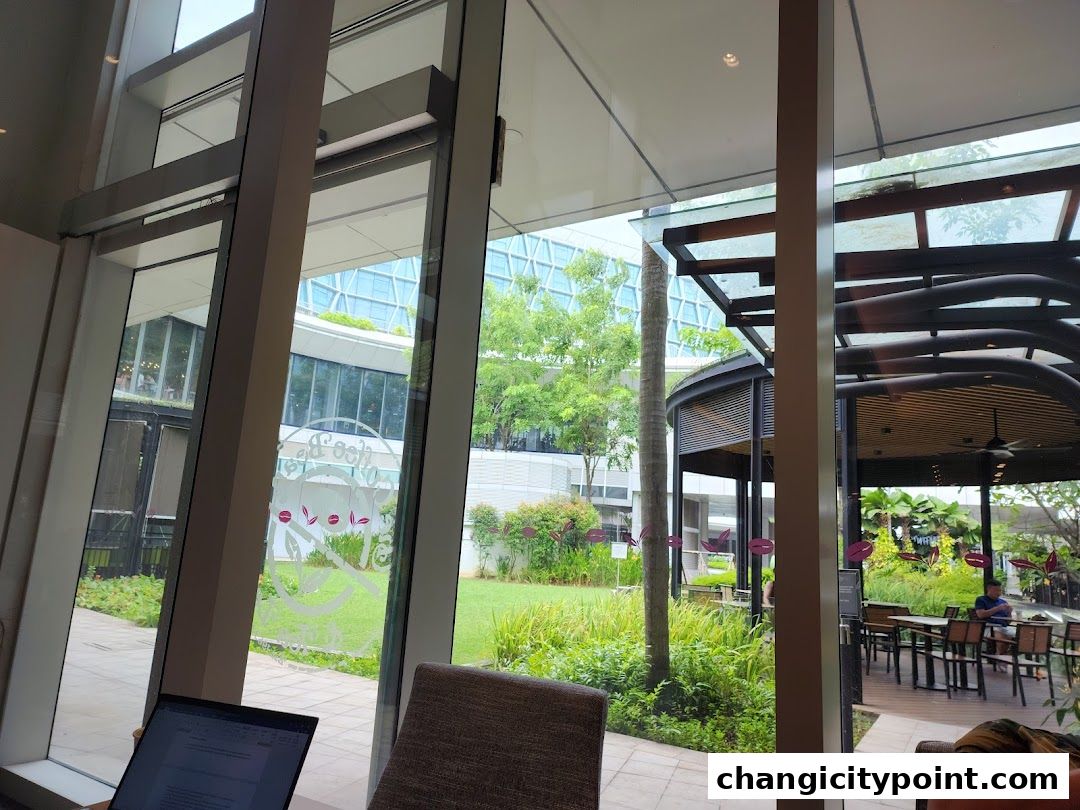 View of The Coffee Bean Tea Leaf's outdoor seating area and lush greenery through a window.