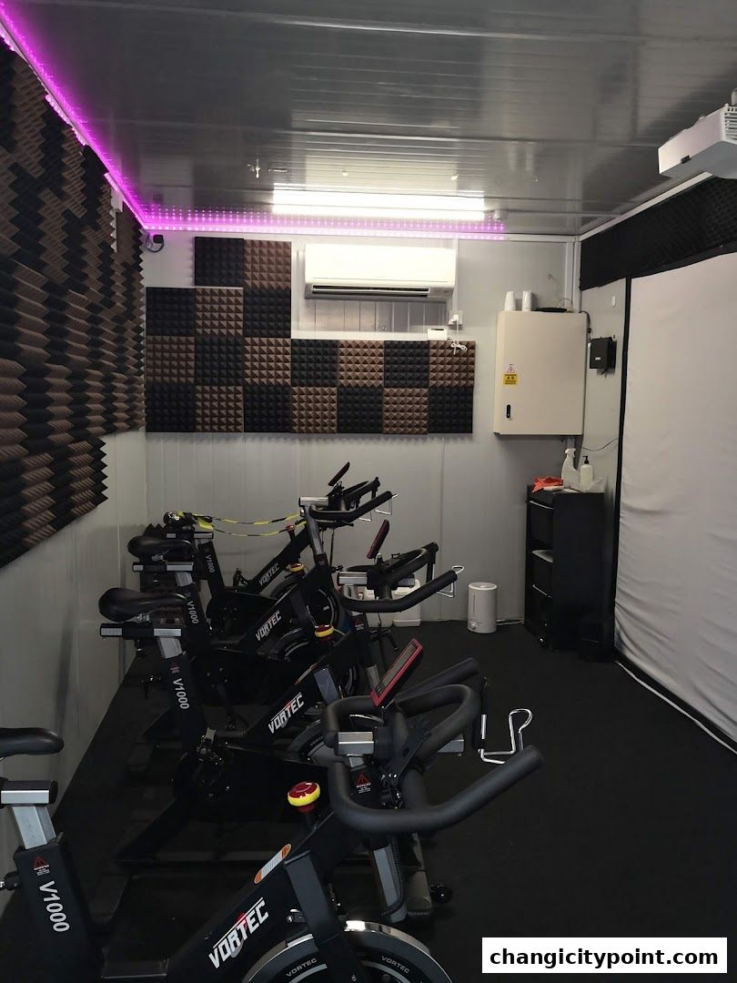 Interior of a fitness studio with multiple stationary bikes and soundproofing panels.