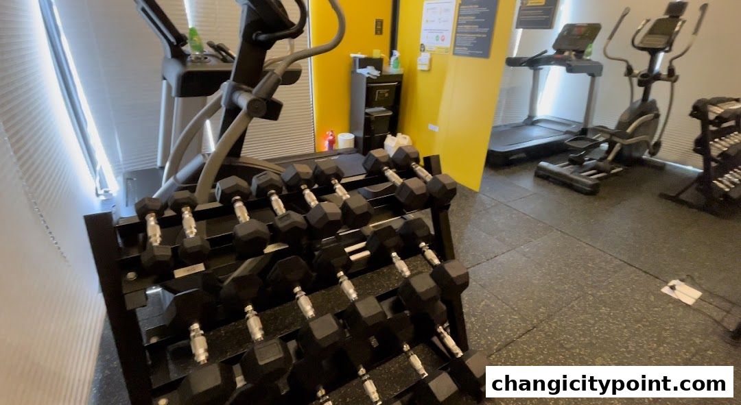 A gym interior with treadmills, elliptical, and a rack of dumbbells.