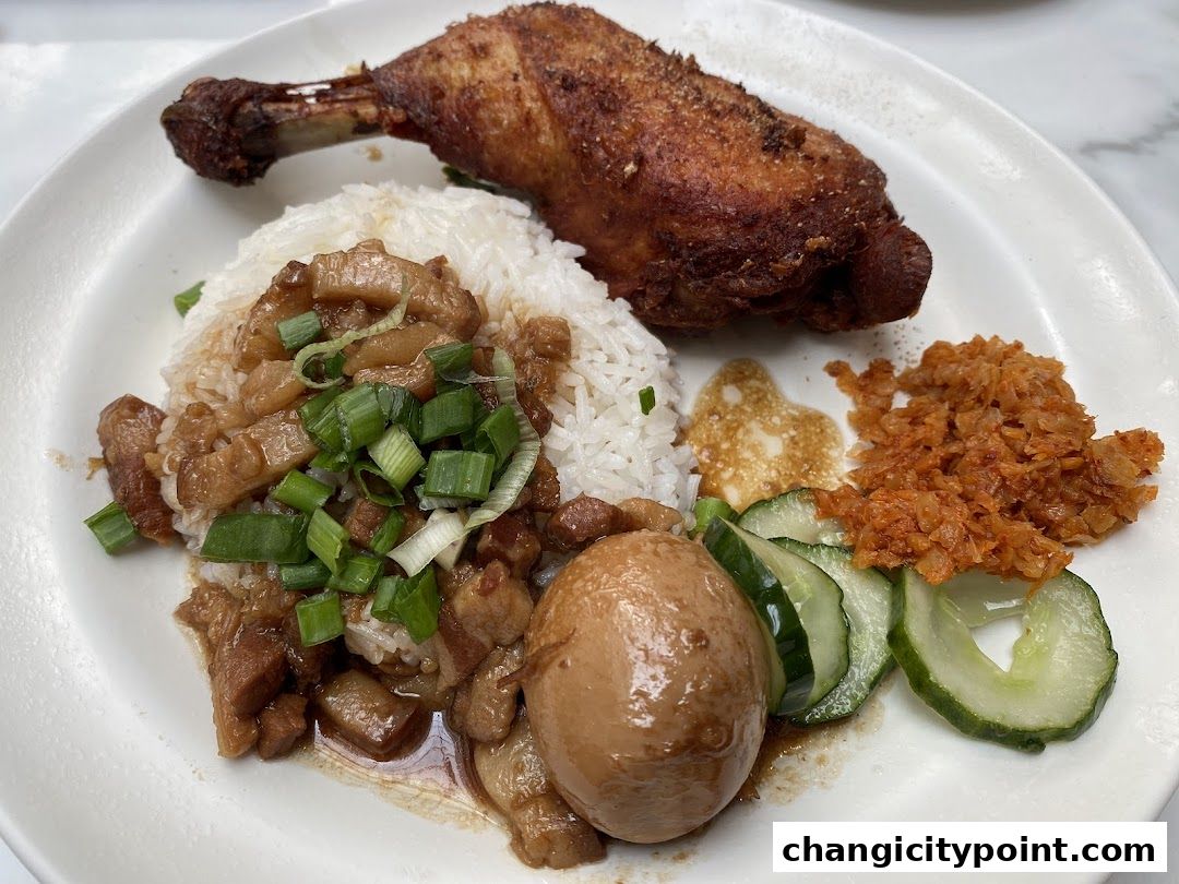 A plate of rice with braised pork, fried chicken leg, egg, and cucumber slices.