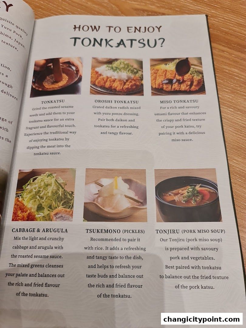 A guide on how to enjoy Tonkatsu, featuring different preparations and side dishes.