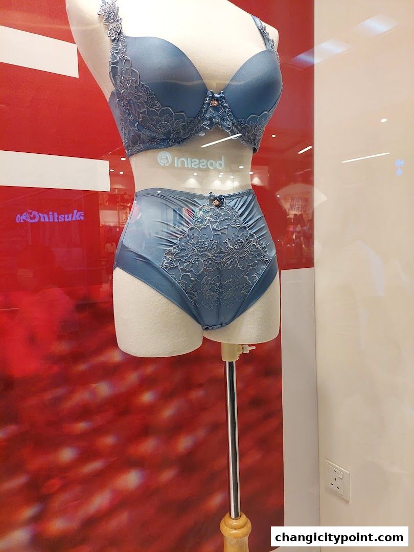 A mannequin displays a blue lace bra and high-waisted panty set in a shop window.