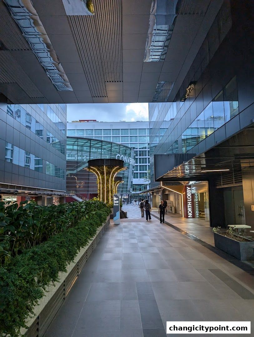 A modern walkway with lush greenery and illuminated architectural features.