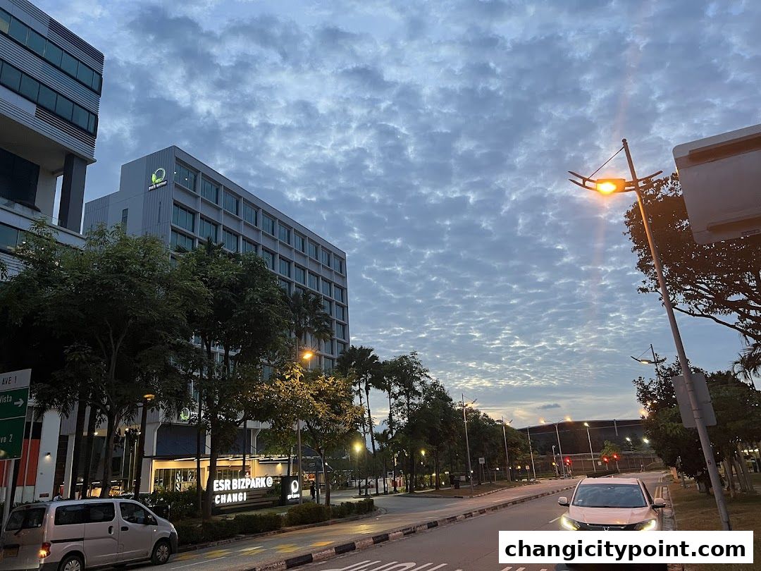 Exterior view of ESR BizPark @ Changi building with trees and a street.