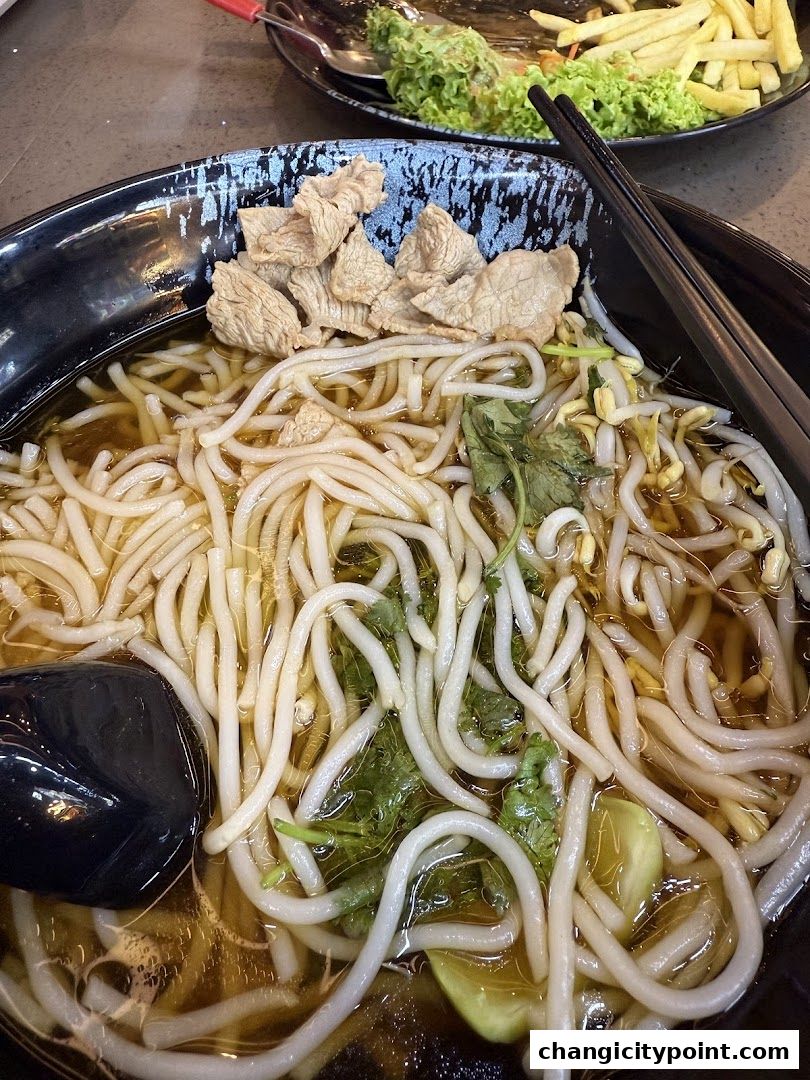A close-up of a steaming bowl of noodles with meat and vegetables, served with chopsticks.