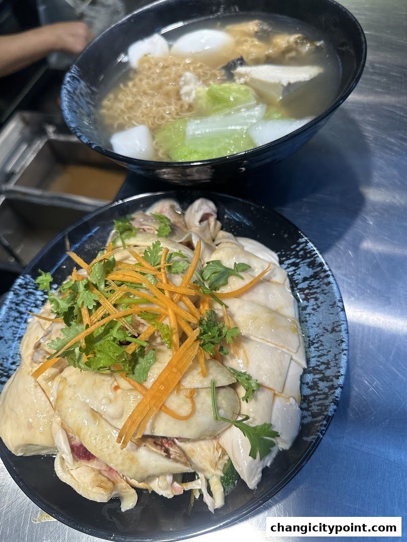 Two bowls of food: one with sliced chicken and garnish, the other with noodles and vegetables.
