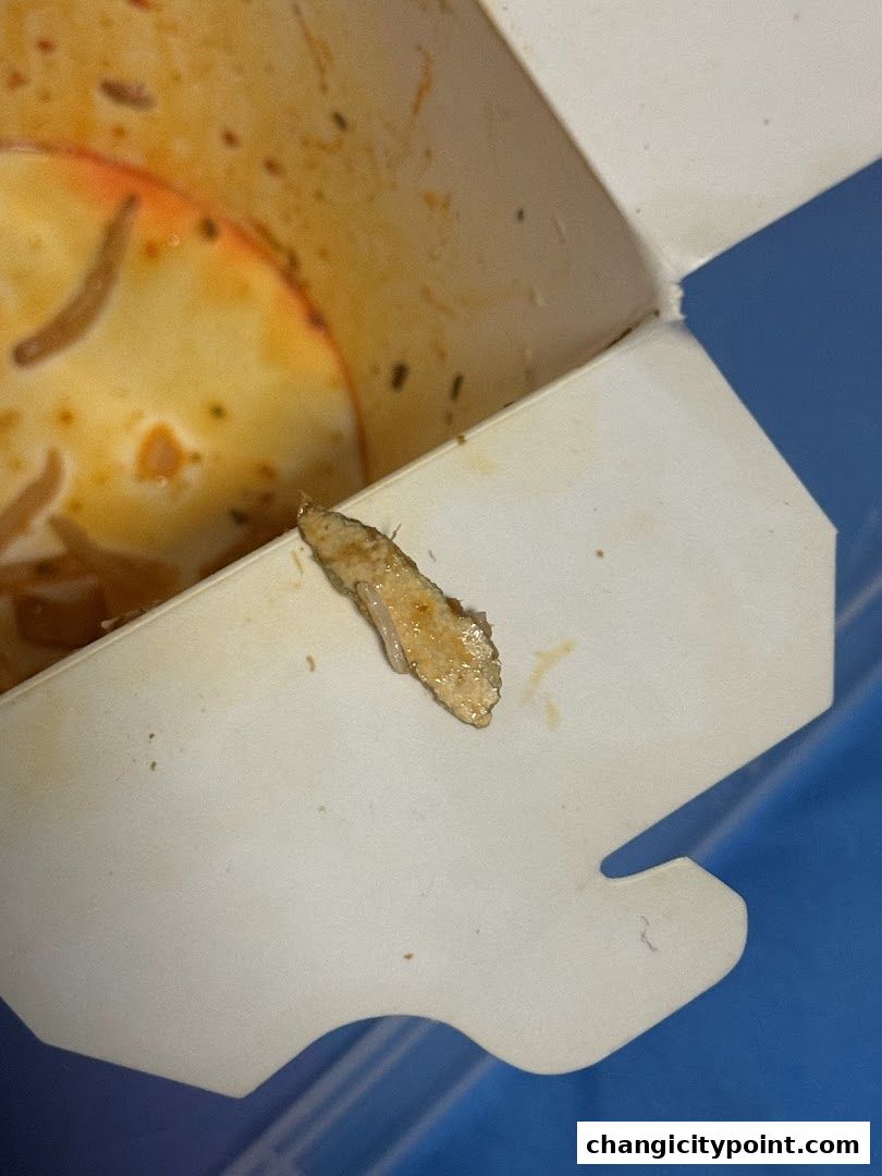 A close-up of a piece of food on the edge of a takeaway box.