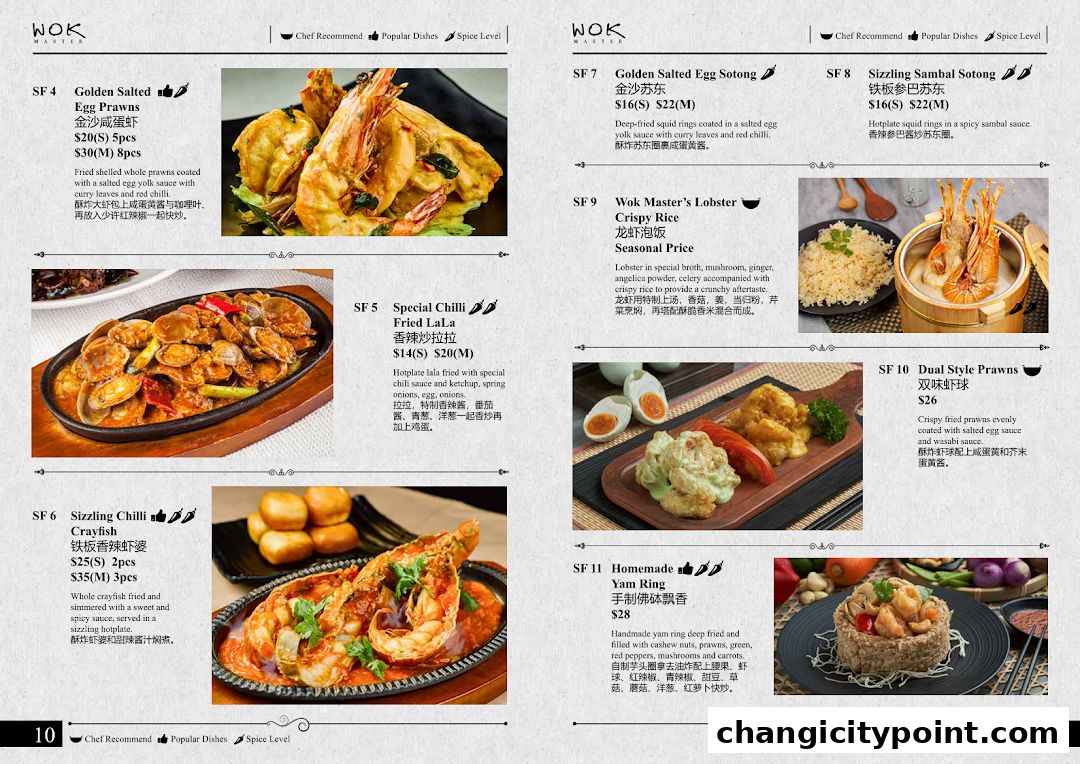 Wok Master Changi City Point