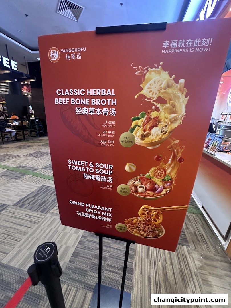 Yang Guo Fu Mala Tang 杨国福麻辣烫  Changi City Point
